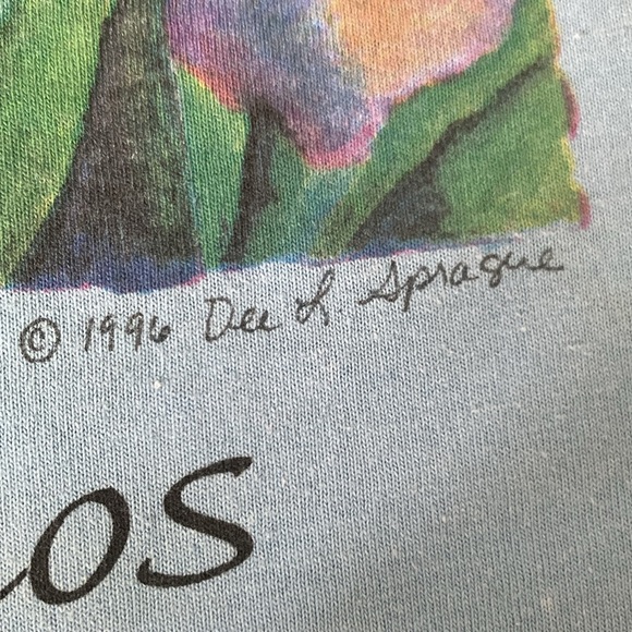 VTG 90s Single Stitch Poconos Shirt Deep L Sprague 1996 large X-Large medium - Picture 3 of 10